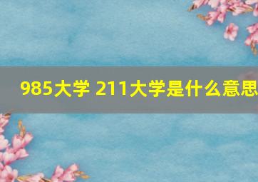 985大学 211大学是什么意思